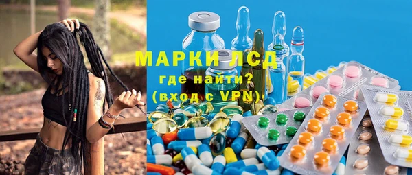 прущие грибы Анива