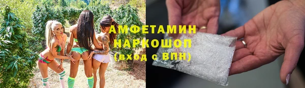 прущие грибы Анива