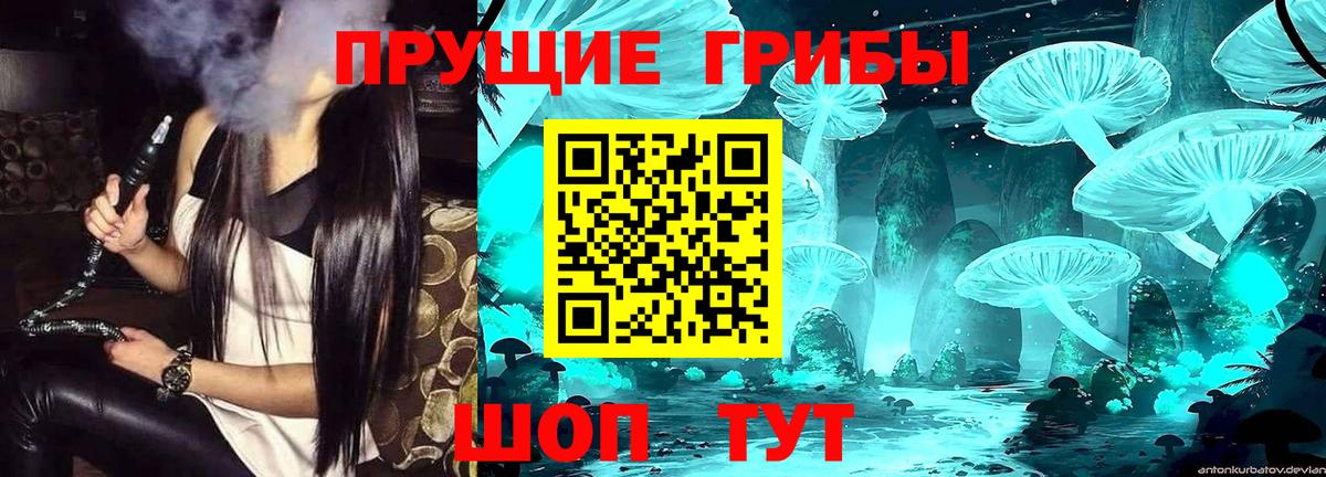 Псилоцибиновые грибы MAGIC MUSHROOMS  Вход с VPN  как найти   Псилоцибиновые грибы ЛСД  Валуйки 